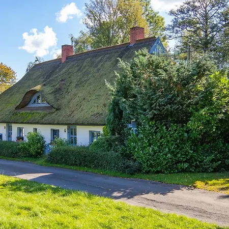 Lütt Stuuv Am Dorfanger Ferienhaus Kenz-Kustrow